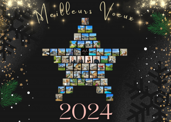 Meilleurs Vœux 2024