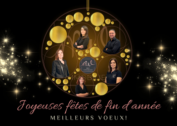 Joyeuses fêtes de fin d'année